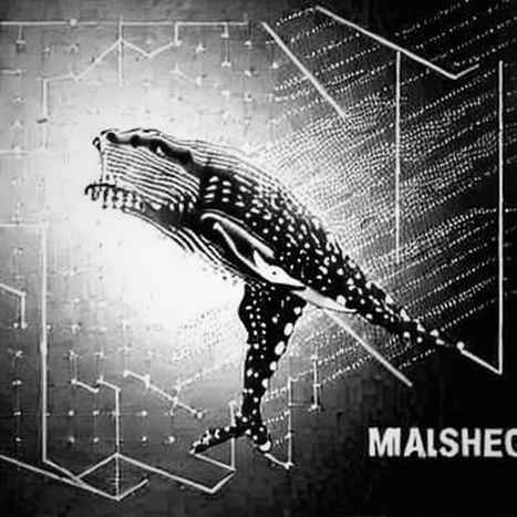 Khi Quỹ Đầu Tư Bị 'Check' – Từ Vụ Mark Walter Chelsea Đến Bài Học Cho Cả Crypto